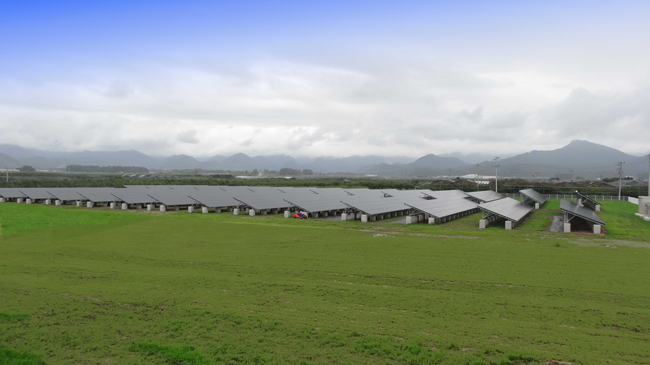 太陽光発電設備の全景